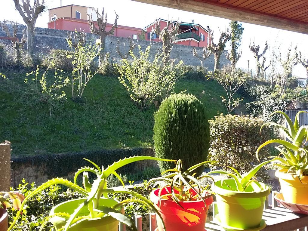 Rental Rooms Antonella Tavullia Εξωτερικό φωτογραφία