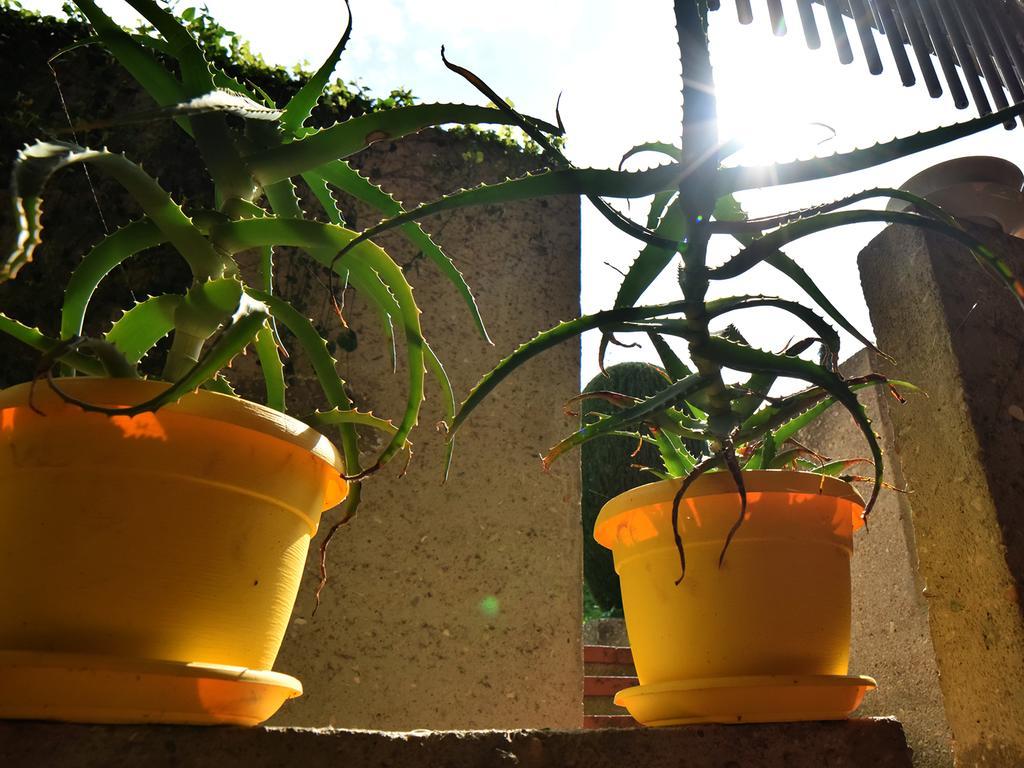 Rental Rooms Antonella Tavullia Εξωτερικό φωτογραφία